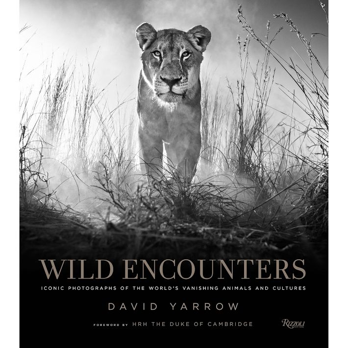 Wild Encounters