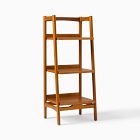 Mid-Century Bath Ladder Storage