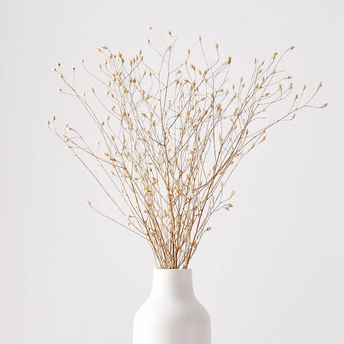 Dried Flax Bunch