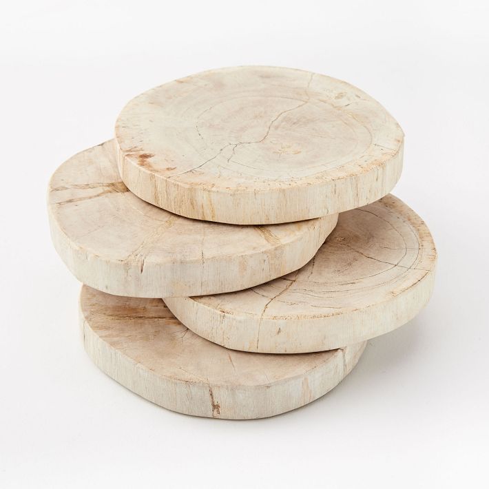 Petrified Wood Coaster Set