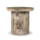 Dravo Petrified Wood Side Table (24&quot;)
