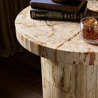 Dravo Petrified Wood Side Table (24&quot;)