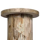Dravo Petrified Wood Side Table (24&quot;)