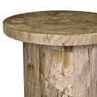 Dravo Petrified Wood Side Table (24&quot;)