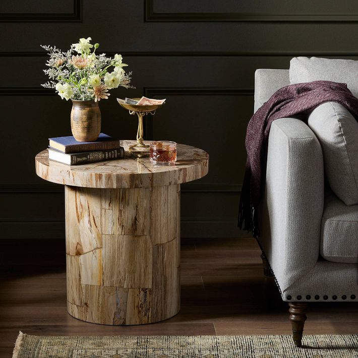 Dravo Petrified Wood Side Table (24&quot;)
