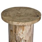 Dravo Petrified Wood Side Table (24&quot;)