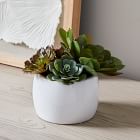 Faux Potted Succulent Arrangement