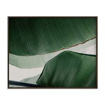 Leaf & Light 4 Framed Wall Art by Minted for West Elm
