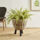 Woven Dry Basket Planters