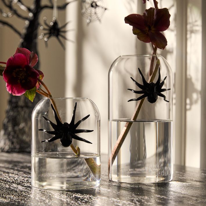 Eris Spider Glass Vases