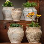 Urn Planters