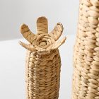 Woven Cactus