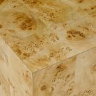 Volume Square Side Table (20&quot;) - Burl