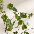 Faux Herb Leaf