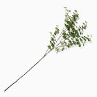 Faux Herb Leaf