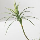 Faux Potted Dracaena