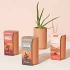 Modern Sprout Terracotta Assorted Grow Kit