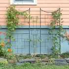 Square Iron Trellis