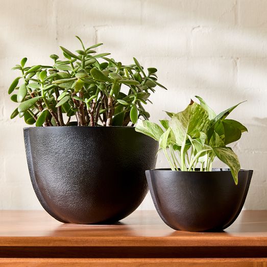 Imogen Iron Tabletop Planters | West Elm