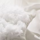 TENCEL&#8482; Blended Down Alternative Pillow Insert