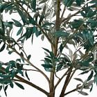 Faux Potted Olive Tree