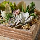 Live Succulents w/ Reclaimed Wood Planter