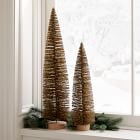 Champagne Bottlebrush Trees