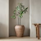 Faux Potted Brachychyton Rupestris Tree
