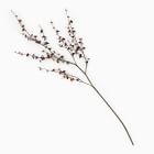 Faux Siberian Elm Branch