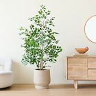 Faux Potted Ficus Tree &amp; Helena Planter Bundle