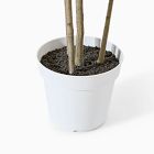 Faux Potted Green Leaf Tree