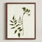 Foraged Wall Art by Minted for West Elm