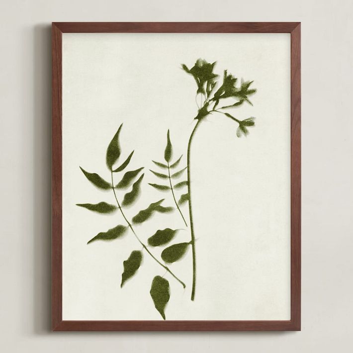 Foraged Wall Art by Minted for West Elm