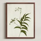 Foraged Wall Art by Minted for West Elm