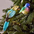 Glass Parrot Clip-On Ornament
