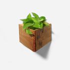 Formr Triangle Self Watering Planter