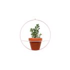 NewMade LA Circle Wall Planter