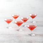 Schott Zwiesel  Pure Crystal Cocktail Glasses (Set of 6)