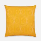 Anchal Project Prism Pillow