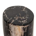 Petrified Wood Side Table (12")