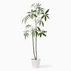 Faux Potted Brachychyton Rupestris Tree