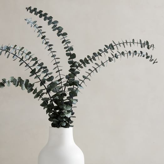 Dried Eucalyptus Bundle - Green