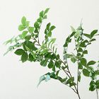 Faux Potted Green Leaf Tree &amp; Radius Planter Bundle