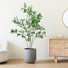 Faux Potted Green Leaf Tree &amp; Radius Planter Bundle