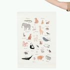 Gathre Animal Alphabet Poster