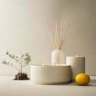 Everyday Homescent Collection - Citrus Pine