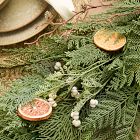 Pre-Lit Faux Citrus Garland