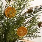 Faux Orange Stem Bundle