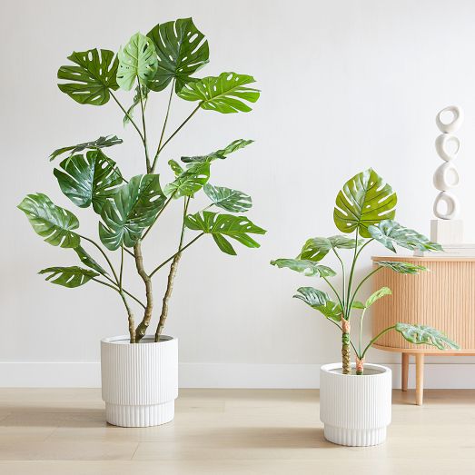 Faux Potted Monstera Plant & Radius Planter Bundle