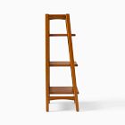Mid-Century Bath Ladder Storage